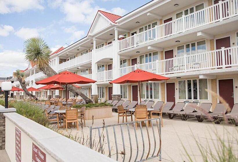 فندق Desert Sand Resort