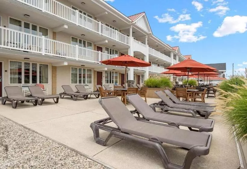 Hotelli Desert Sand Resort