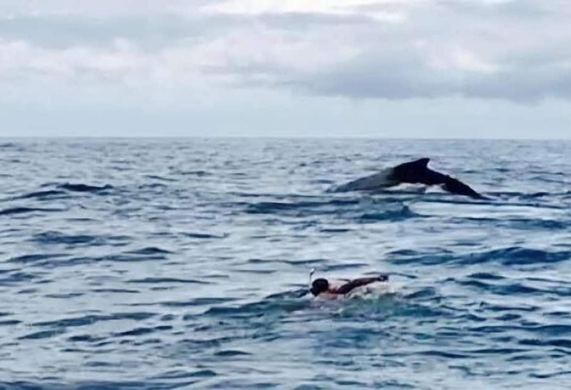 בית מלון כפרי Iguana Beach Eco Resort