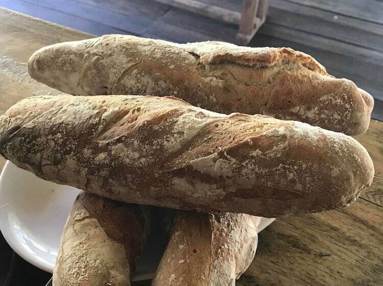 בית מלון כפרי Iguana Beach Eco Resort