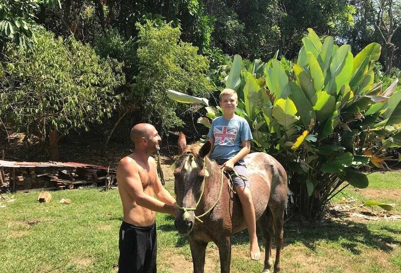 בית מלון כפרי Iguana Beach Eco Resort