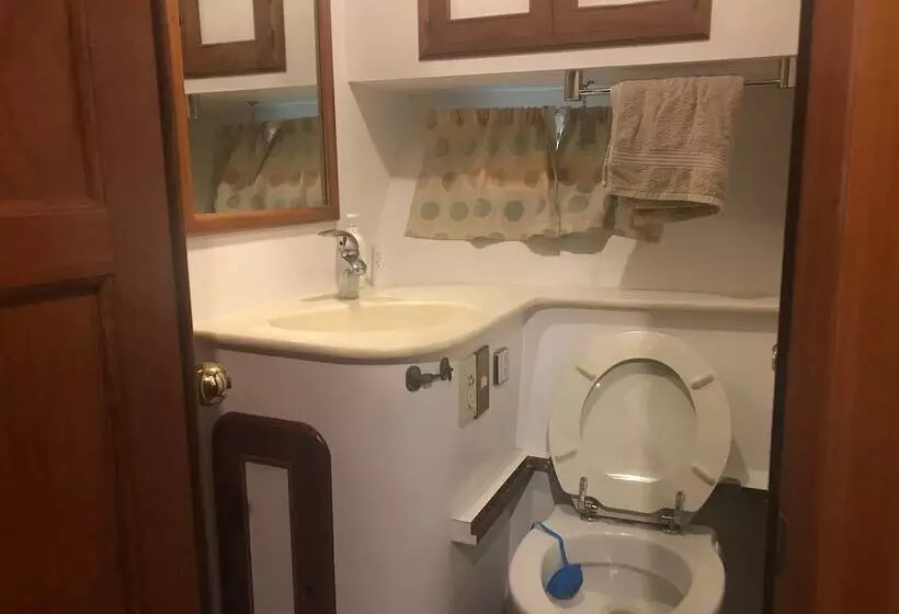 هتل Motor Yacht Calypso