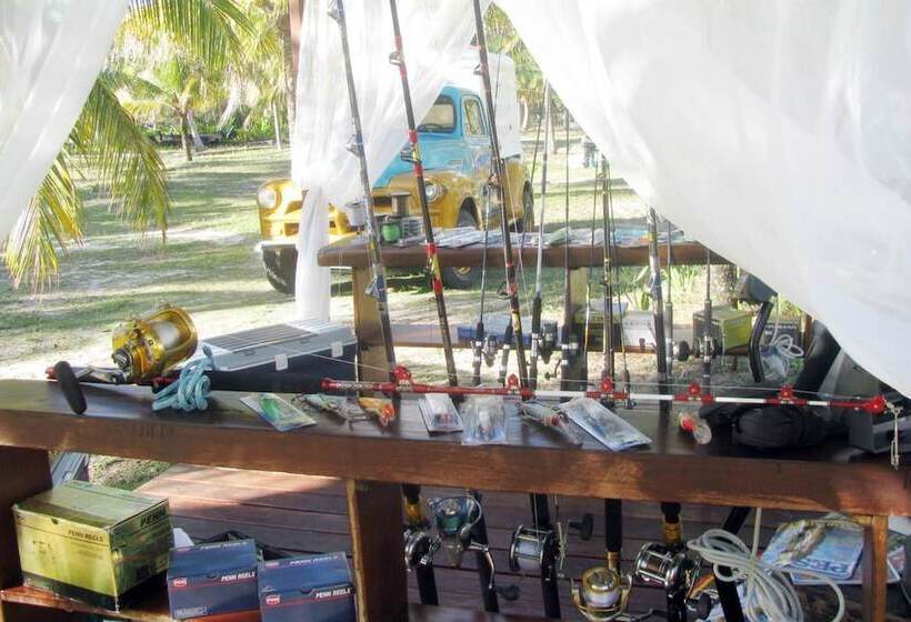 乡村酒店  Fazenda Amendoeira Eco Lodge