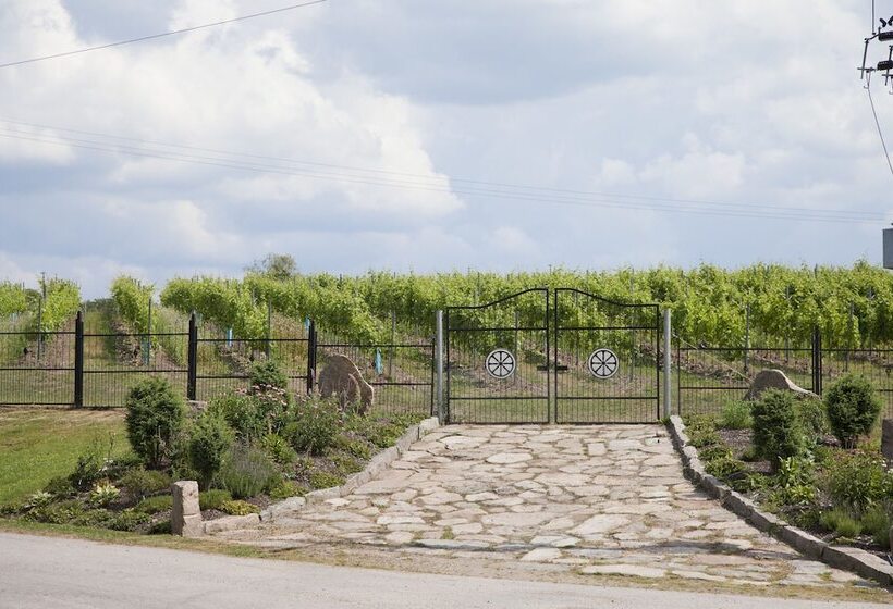 هتل ästad Vingård