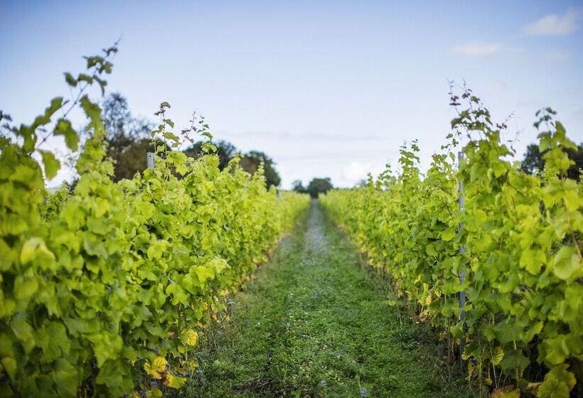 هتل ästad Vingård