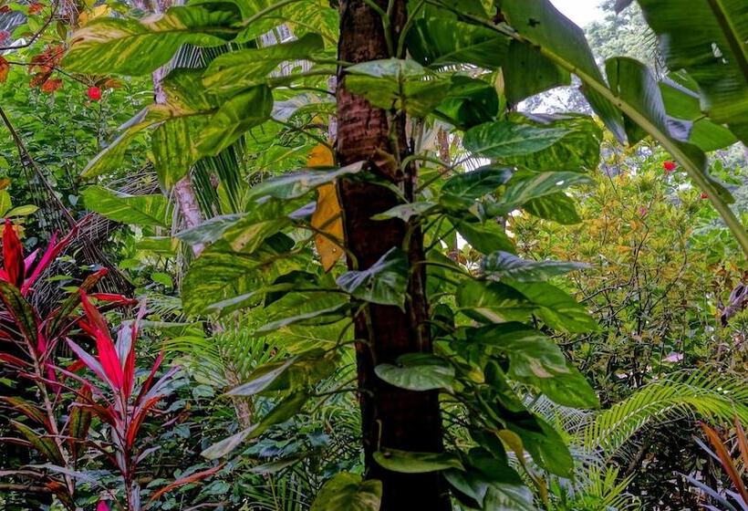 Mi Casa Hostel & Hotel El Tesoro