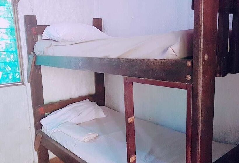 Mi Casa Hostel & Hotel El Tesoro