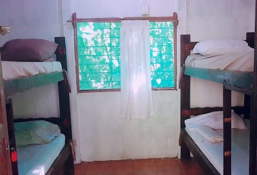 Mi Casa Hostel & Hotel El Tesoro