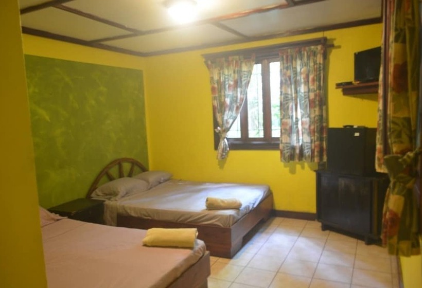 Mi Casa Hostel & Hotel El Tesoro