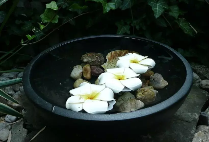 Majatalo Penzion Exotic