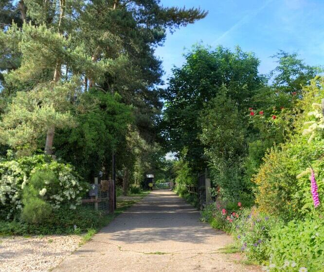 پانسیون The Orangery B&b