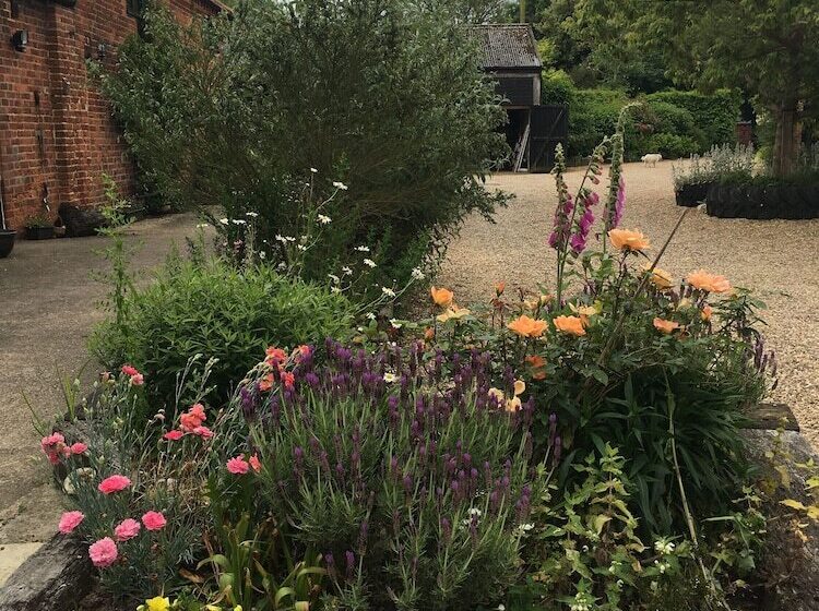 پانسیون The Orangery B&b