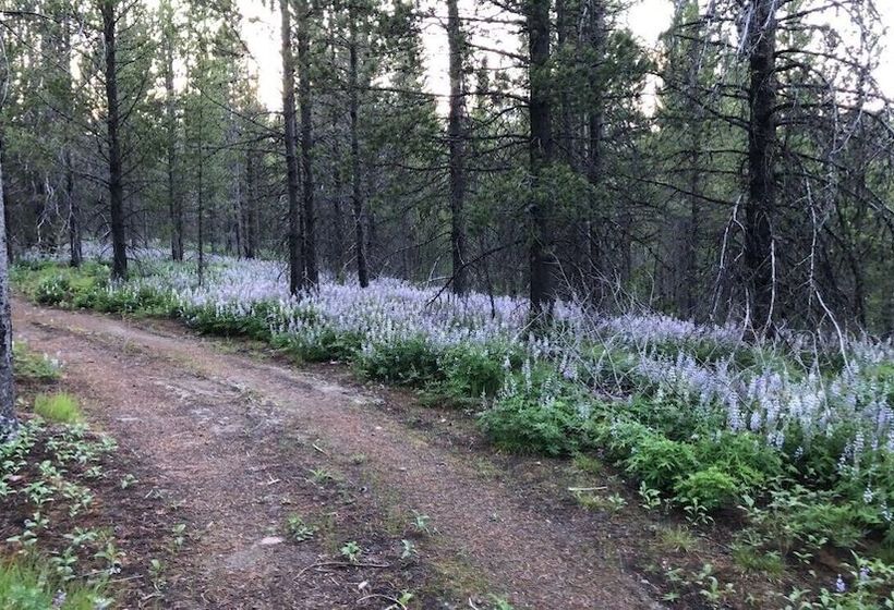 Sugar Loaf Lodge & Cabins