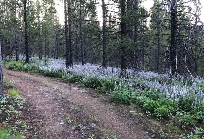 Sugar Loaf Lodge & Cabins