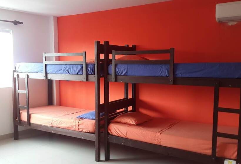 هاستل Backpackers Bar&suites