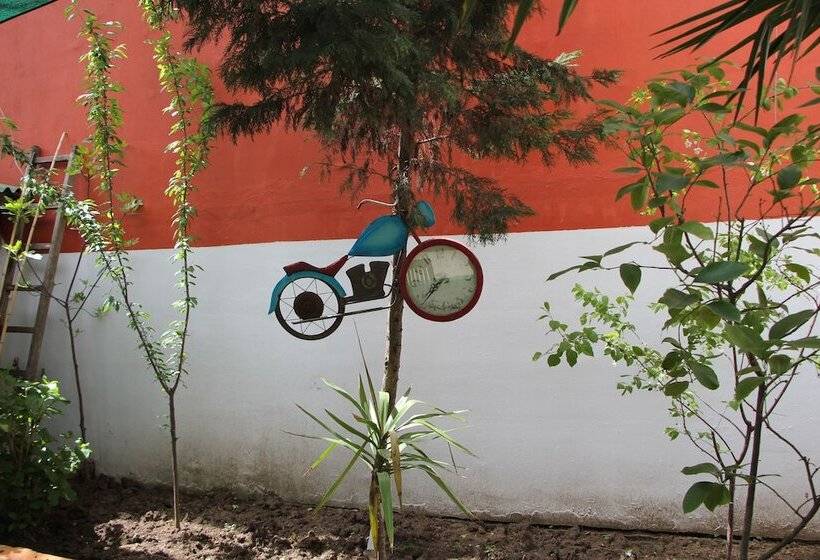 旅馆 Limon Pansiyon