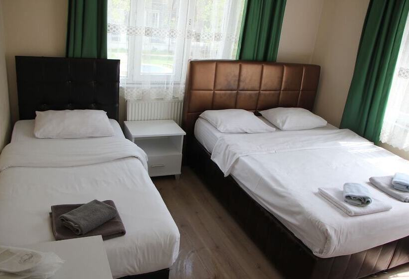 旅馆 Limon Pansiyon