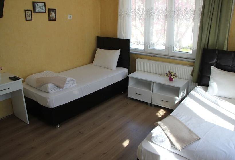 旅馆 Limon Pansiyon