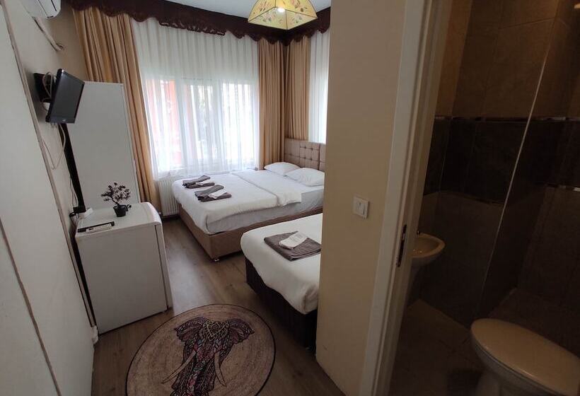 旅馆 Limon Pansiyon