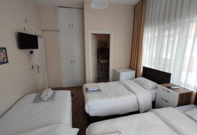 旅馆 Limon Pansiyon