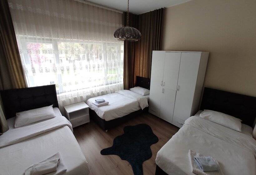 旅馆 Limon Pansiyon