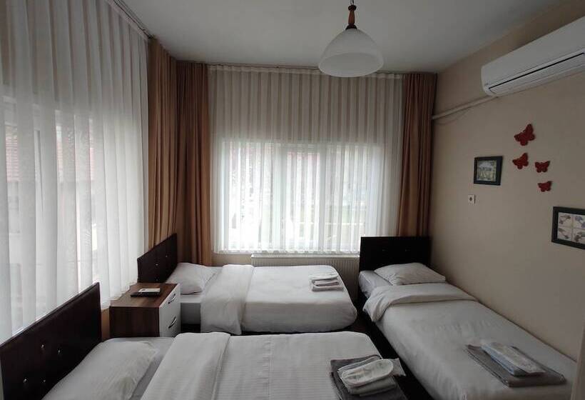 旅馆 Limon Pansiyon