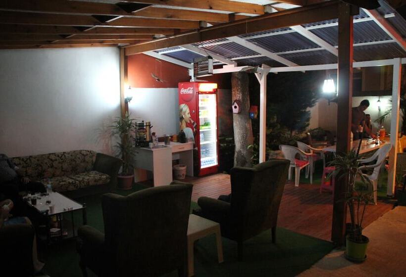 旅馆 Limon Pansiyon