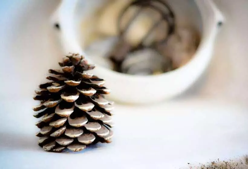 Ayvalik Moda Pansiyon