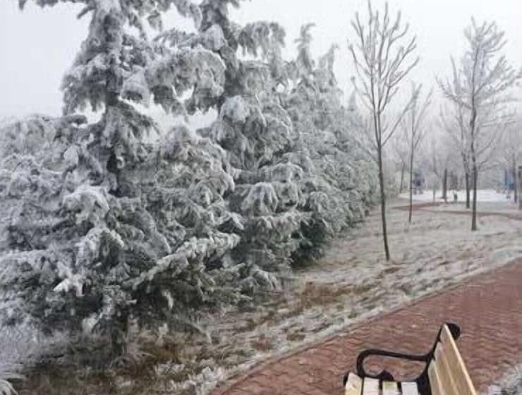 Doktorun Oteli Haymana