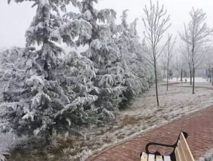 Doktorun Oteli Haymana