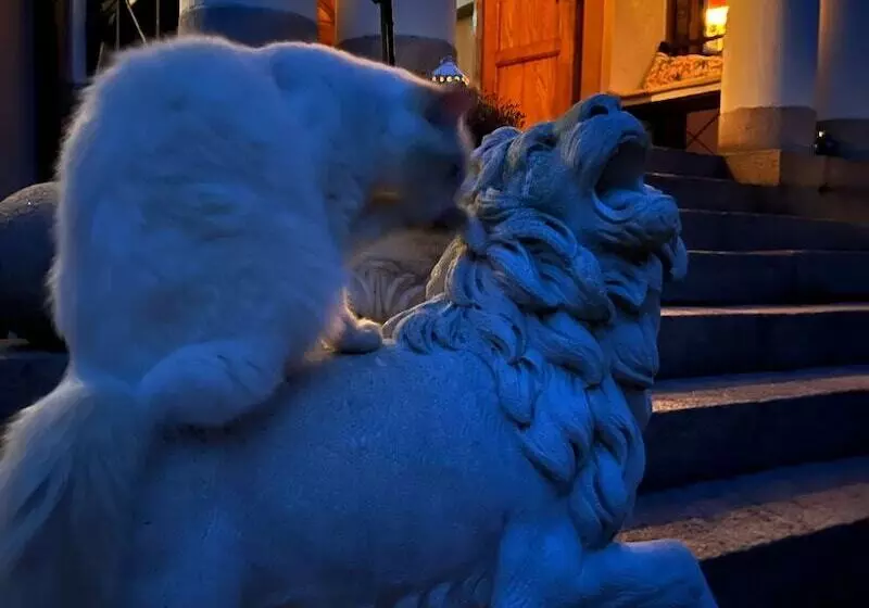 Herrgårds Hotell Gyllene Hästen