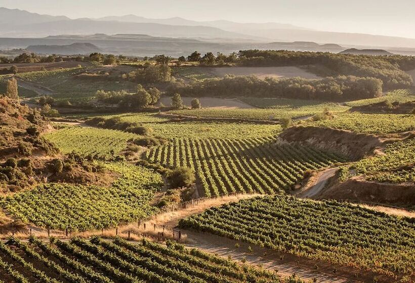 酒店 Apartamento Golf Rioja Alta