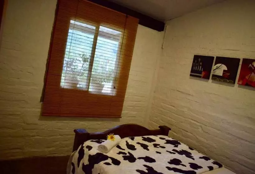 ホテル Cabañas La Herradura