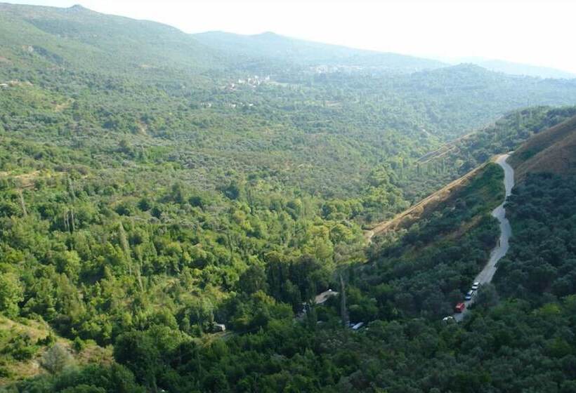 בית מלון כפרי Defne Prenses