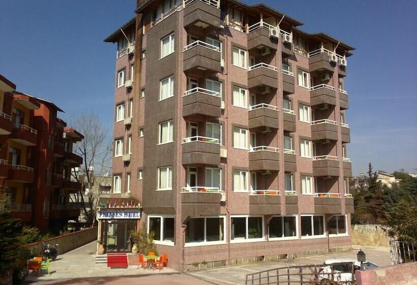 בית מלון כפרי Defne Prenses