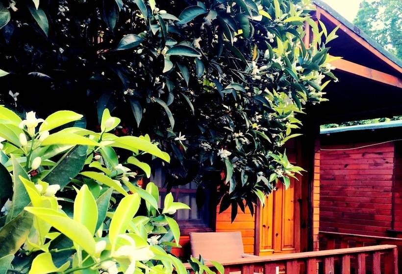 Отель Kadir's Garden Adrasan