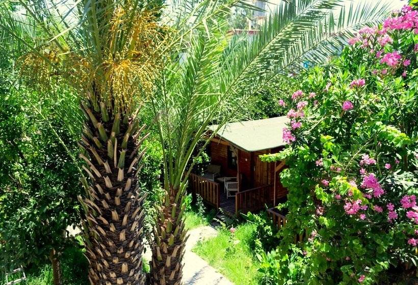 Отель Kadir's Garden Adrasan