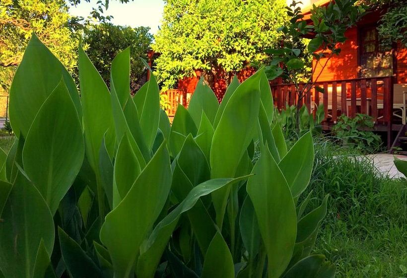 Отель Kadir's Garden Adrasan