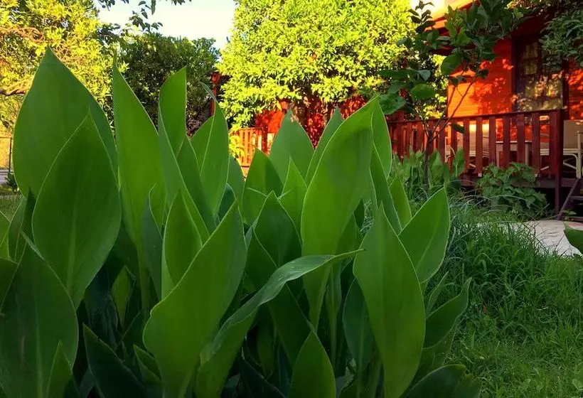 هتل Kadir's Garden Adrasan