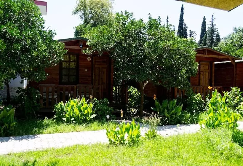 هتل Kadir's Garden Adrasan