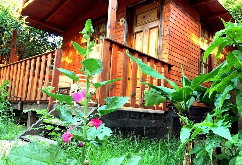 Отель Kadir's Garden Adrasan