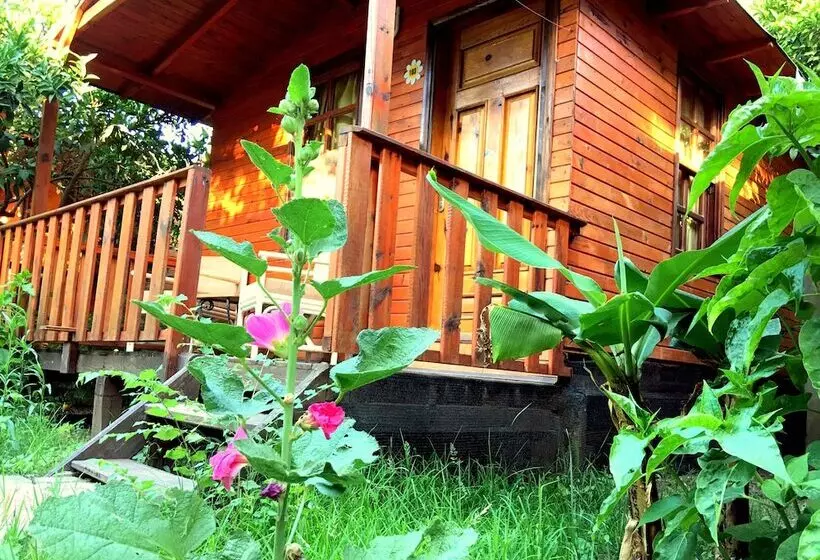 هتل Kadir's Garden Adrasan