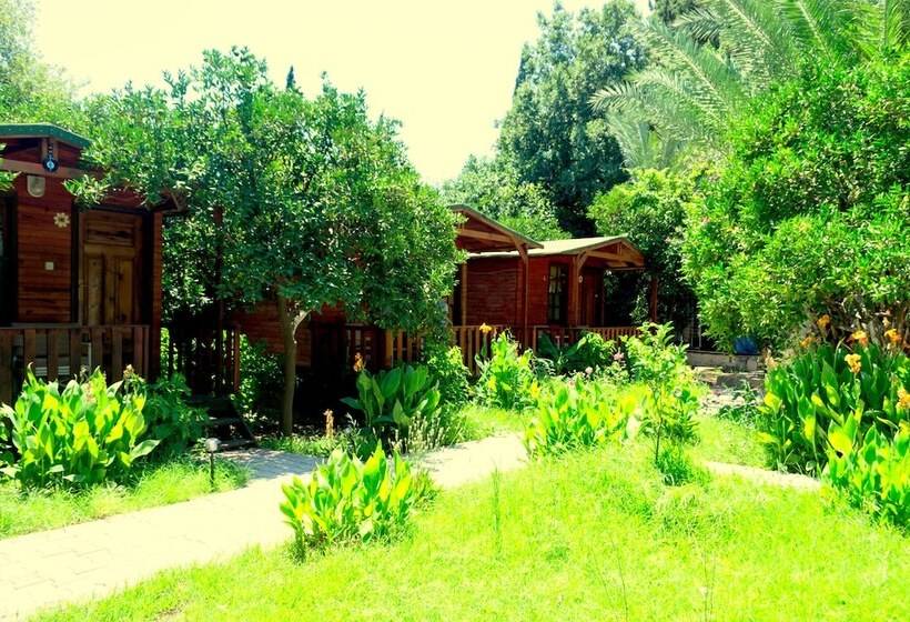 Отель Kadir's Garden Adrasan