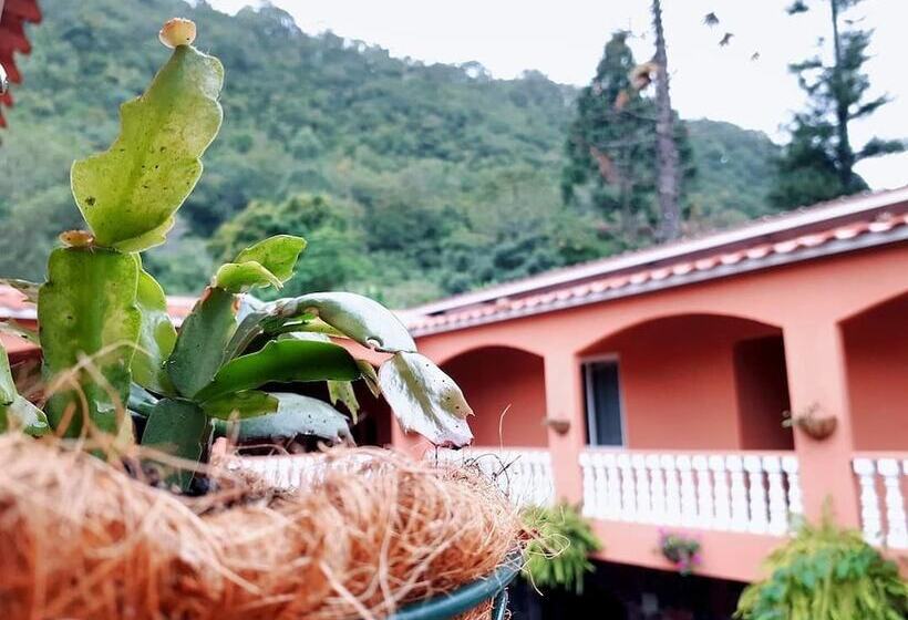 בית מלון כפרי La Serrania