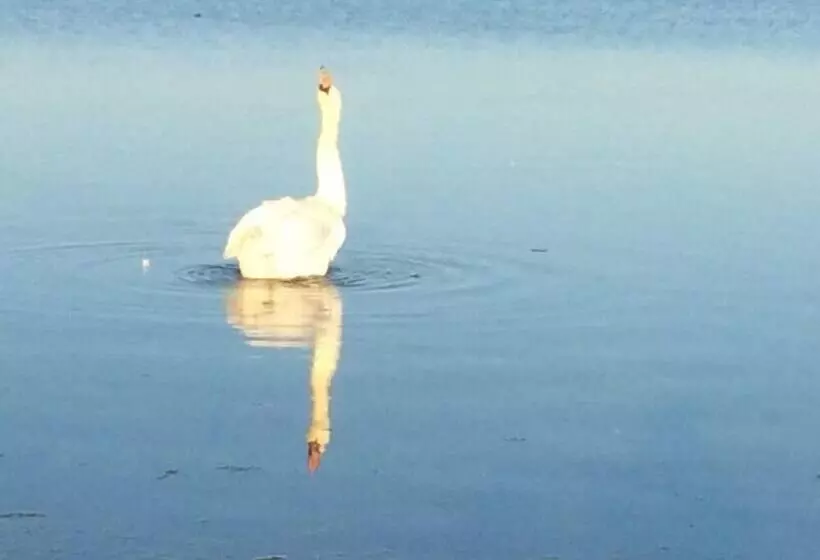 Hotelli Nakskov Fjord Camping & Cottages