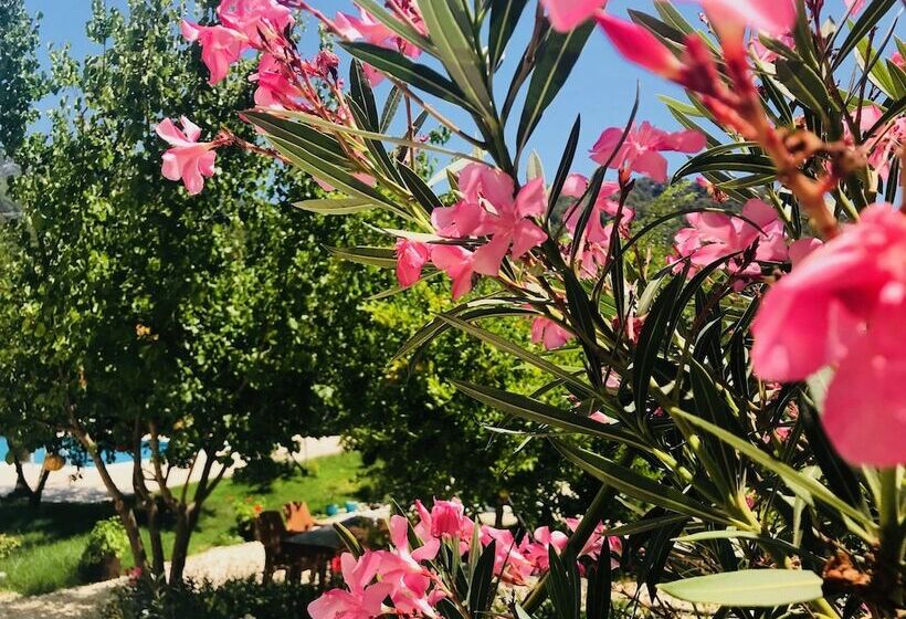 هتل Olive Garden Pansiyon