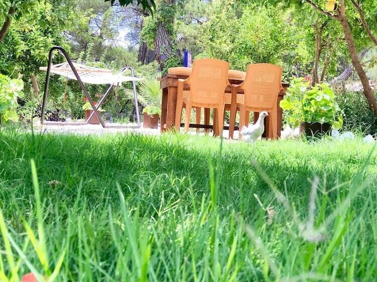 هتل Olive Garden Pansiyon