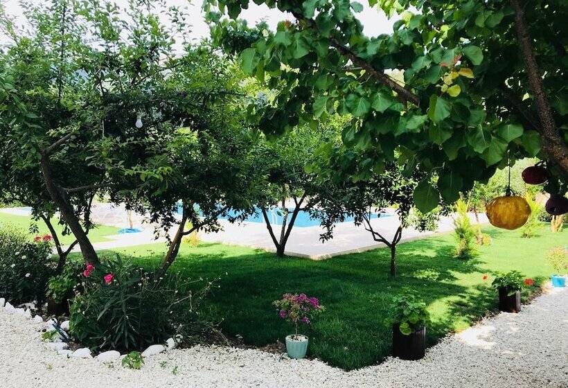 هتل Olive Garden Pansiyon