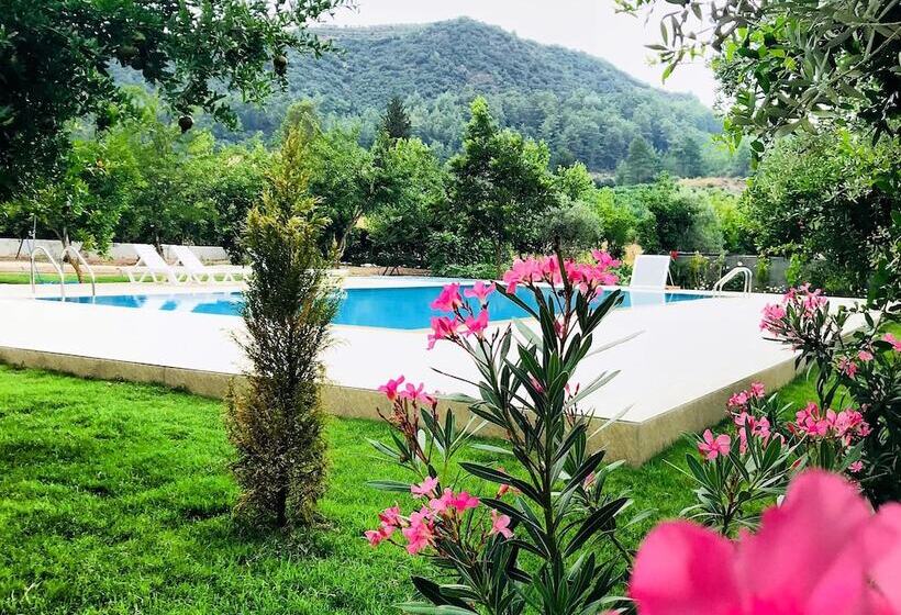 هتل Olive Garden Pansiyon