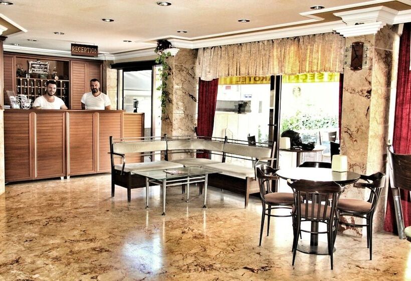 Hotell Seckin Ak